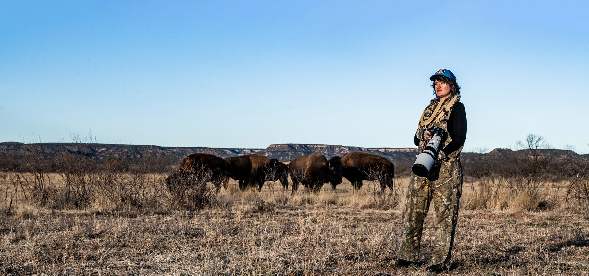 Jessie Story and the Texas State Bison Herd