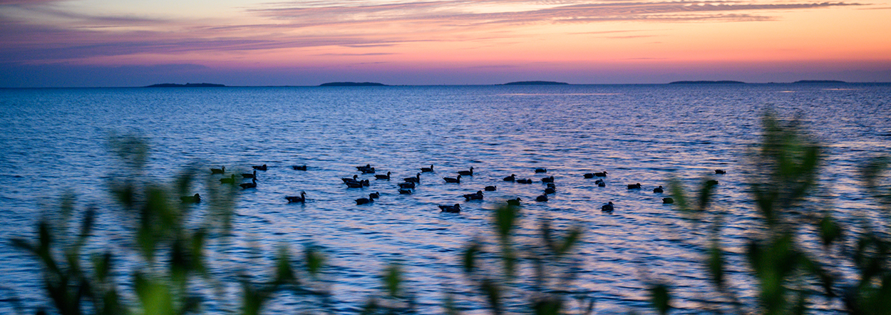 TPWF Episode 66: South Texas Dove Hunt with John Dunaway, Kansas Sartin & Kyle Cokinos